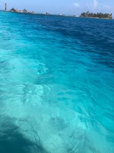 Imagem do WhatsApp de 2025-09-05 à(s) 11.43.11_f921d4f8