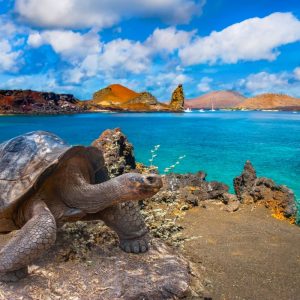 The-Galapagos-Islands-Will-Raise-Its-Entrance-Fee-Dramatically-For-The-First-Time-In-25-Years